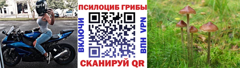 купить наркоту  Новосибирск  Галлюциногенные грибы MAGIC MUSHROOMS 