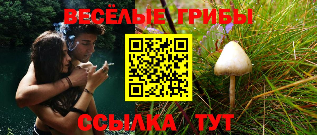 Галлюциногенные грибы GOLDEN TEACHER Новосибирск