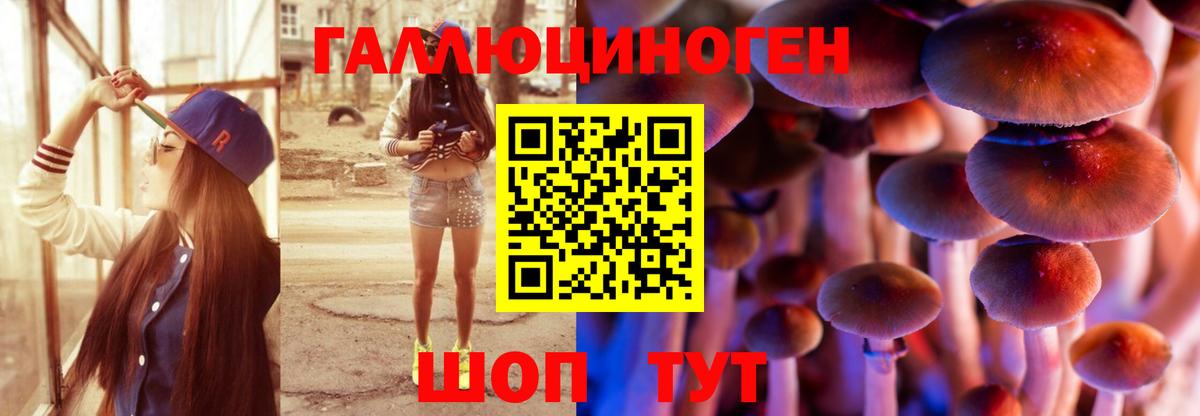 Галлюциногенные грибы прущие грибы  Новосибирск 