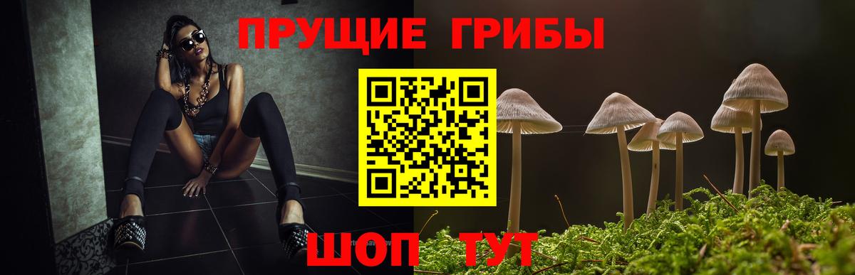 Новосибирск  Галлюциногенные грибы мухоморы  Вход с VPN 