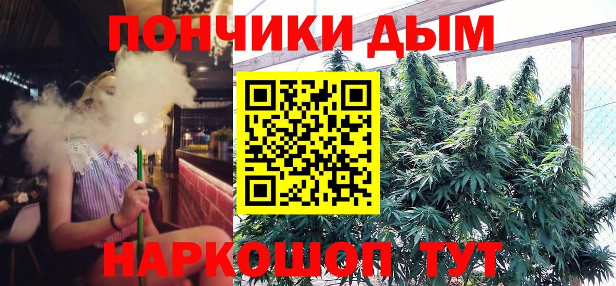 Бошки Шишки план Новосибирск
