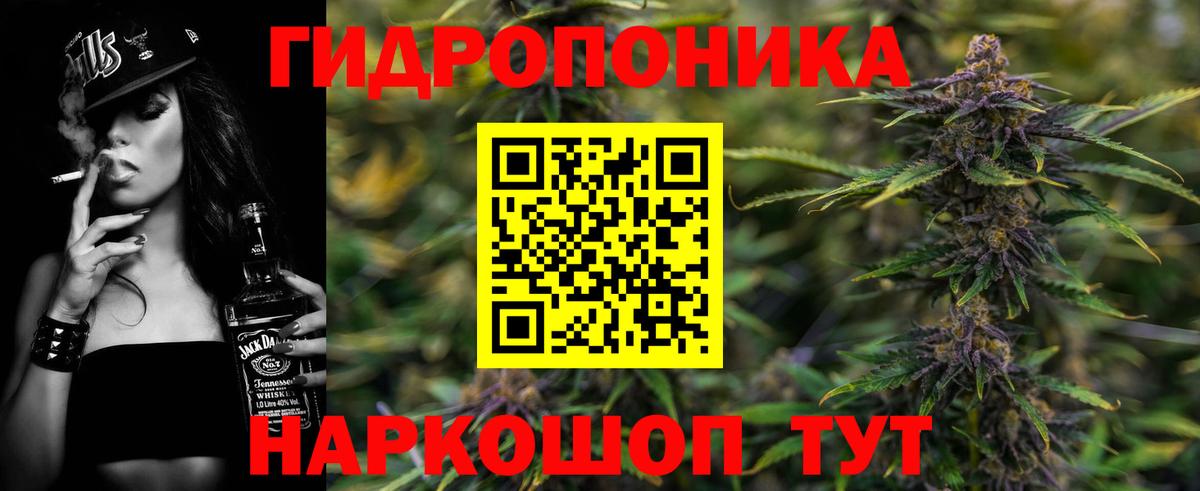 МАРИХУАНА семена  Бошки марихуана White Widow  Бошки Шишки Ganja  Конопля Bruce Banner  Новосибирск 